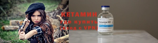 прущие грибы Пестово