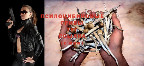 герыч Осташков