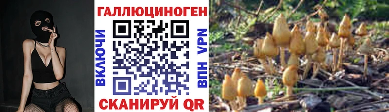 где купить наркоту  Ардон  Псилоцибиновые грибы Psilocybe 